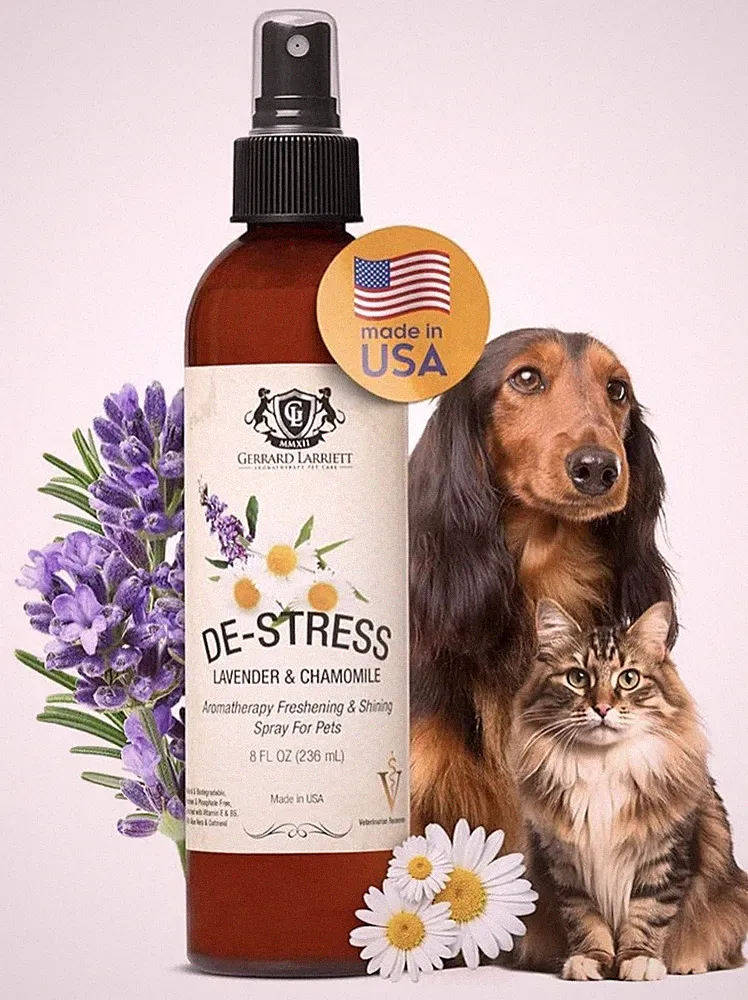Dog Perfume Spray Long Lasting Chamomile & Lavender 8 Fl Oz, Dog Cologne Spra...